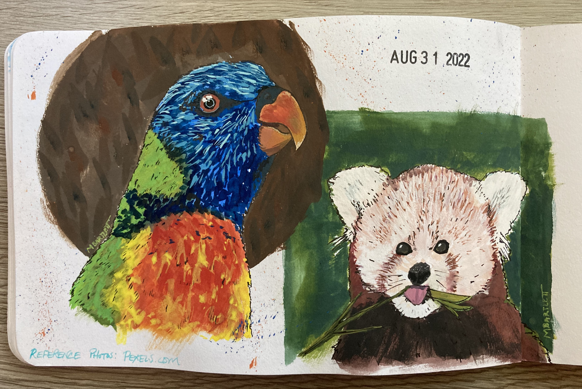 A brightly colored tropical bird and a red panda chewing on a twig, painted in a sketchbook